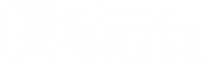 Renuka Brzee Ravet Logo